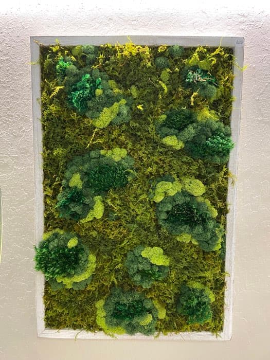 Framed moss art